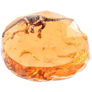 Buy Dinosaur Fossil Putty