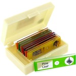 Buy Safe Plastic Slide Set - Plants. Buy Safe Plastic Slide Set - Plants.