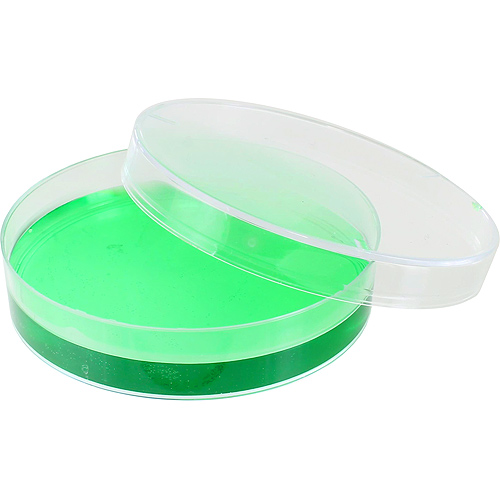 Plastic Petri Dish 55mm by