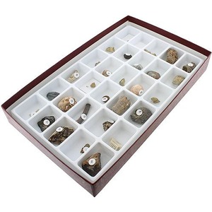 Advanced Fossil Collection - Image One