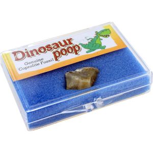 Dinosaur Poop Natural Educational Box - Image One