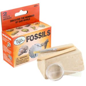 Fossils Excavation Mini Kit - Image One