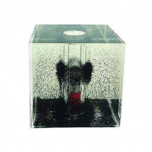 Magnetic Field Cube - Image One