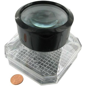 Magnifying Bug Viewer - Image One