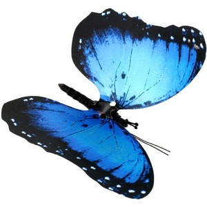 Moving Butterfly - Blue Morpho - Image One