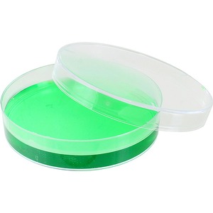 Plastic Petri Dish - 55mm - Image One