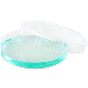 Plastic Petri Dish - 70mm - Single - Image One