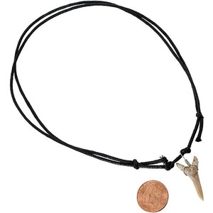 Shark Tooth Necklace - Image One