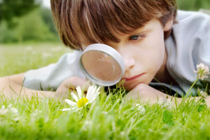 A boy studying a flower with a magnifying glass.