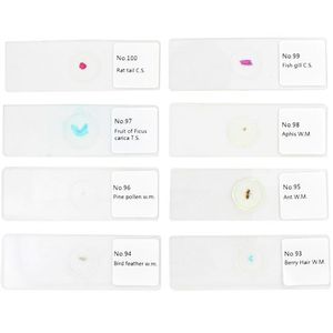 100 Prepared Biology Prepared Microscope Slides Set Photo 2