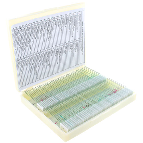 100 Prepared Biology Prepared Microscope Slides Set - Image one