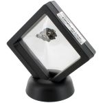 10 gr Meteorite in Floating Display.