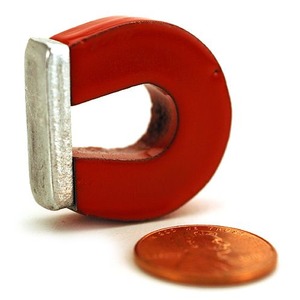 Photo of the 1in Alnico Horseshoe Magnet