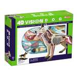 Photo of the: 4D Dog Anatomy Model