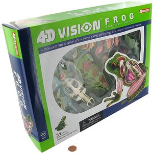 4D Frog Anatomy Model Photo 2
