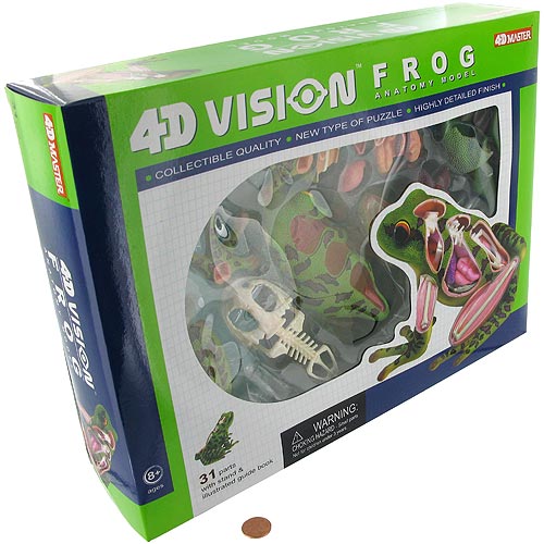 4D Frog Anatomy Model - Image two