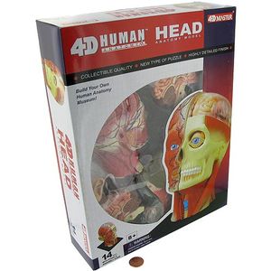 人体模型 4D MASTER HUMAN BODY 4D Master Human Torso Model - Medical Anatomy Puzzle Toy