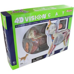 4D Orange Cat Anatomy Model - Image One