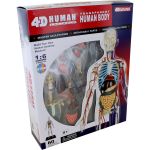 4D Transparent Human Body Anatomy Model Kit - 60 parts.