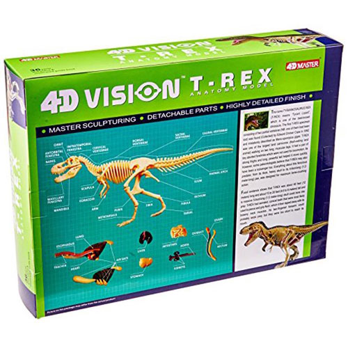4D Vision T-Rex Anatomy Model | xUmp