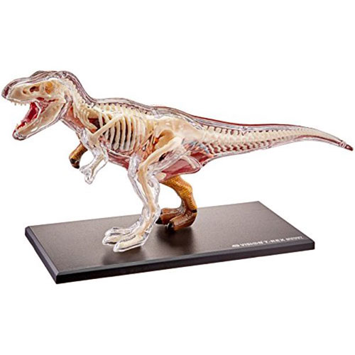 Amazon | アオシマ 4D VISION 動物解剖 No.22 T-REX 解剖モデル