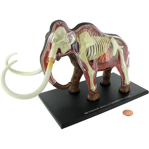4D Woolly Mammoth Anatomy Model - Image one