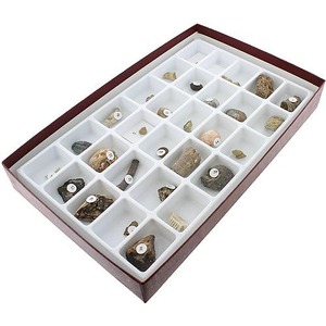 Photo of the Advanced Fossil Collection