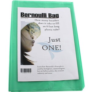 Bernoulli Bag - Pack of 4 - Image One