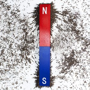 Coarse Iron Filings - 500g bottle Photo 3