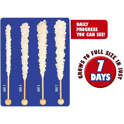 Crystal Growing Edible Experiment Kit - Image two