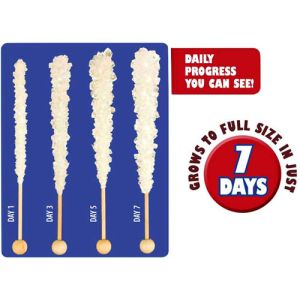 Crystal Growing Edible Experiment Kit Photo 2