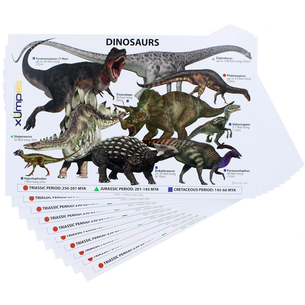 Dinosaurs Reference Cards - 10 pack - Image one