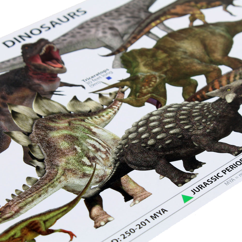 Dinosaurs Reference Cards - 10 pack - Image two