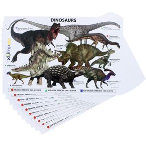 Dinosaurs Reference Cards - 10 pack - Image One