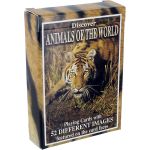 Discover Animals of the World Playing Cards