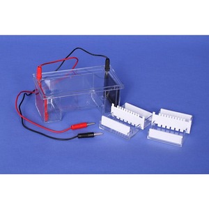 Electrophoresis Tank Photo 1