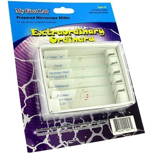 Extraordinary Ordinary Prepared Microscope Slides Set Photo 1