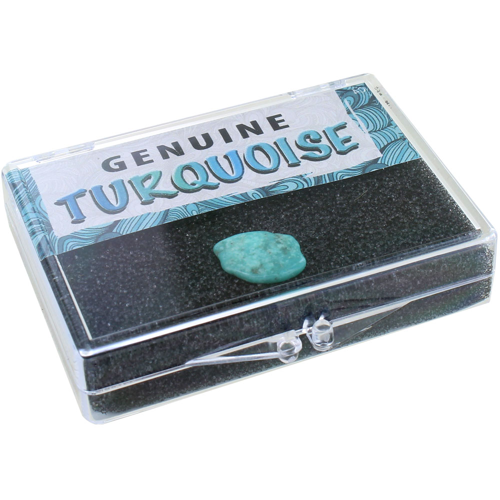 Genuine Turquoise Nugget Educational Box - Image one