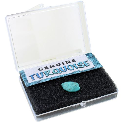 Genuine Turquoise Nugget Educational Box photo 2
