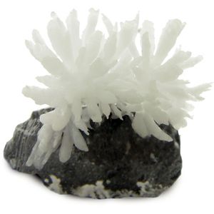 Growing Rock Crystals Photo 2