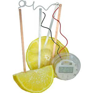 Lemon Clock - DIY Fruit-Powered Clock Photo 2