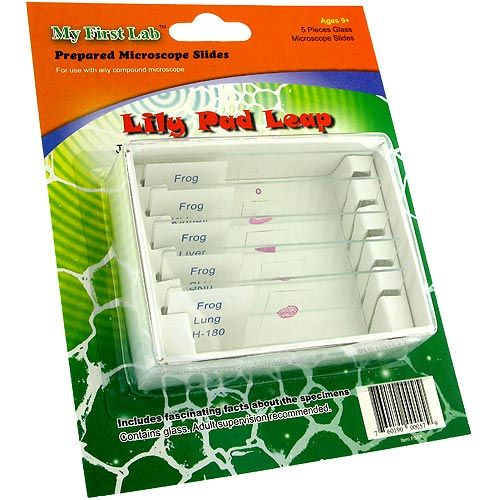 Lily Pad Leap Prepared Microscope Slides Set - Image one