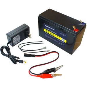 12V 21Ah Lithium-Ion Rechargeable Battery Photo 1