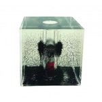 Magnetic Field Cube.