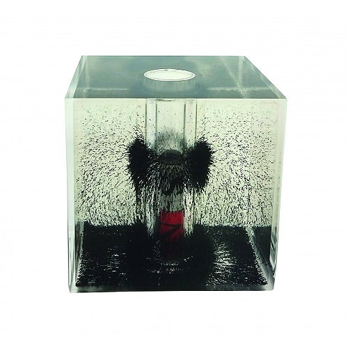 Magnetic Field Cube - Image one