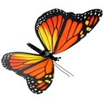 Moving Butterfly - Monarch.