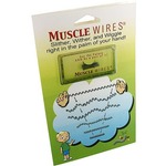 Photo of the: MuscleWire Demo Spring