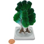 Crystal Growing Mystical Tree.