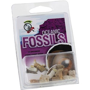 Oceanic Fossils Set Photo 1