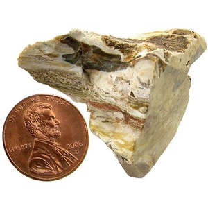 Petrified Wood - Bulk Mineral Photo 1